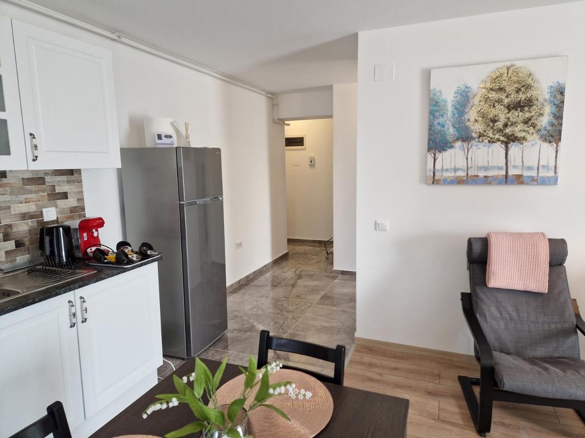 Apartment Star Airport Otopeni